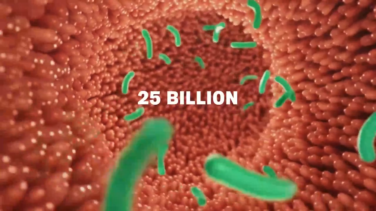 VITALFLORA Nahrungsergänzungsmittel in Kapseln von bienêtre en soit, nahe Blick auf die Kapseln und Verpackung.